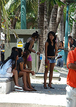 Thai Street Whores #2257491