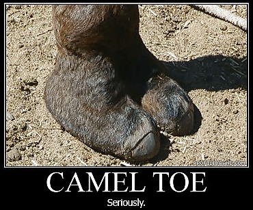 Cameltoe #1560012