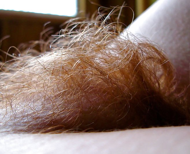 Hairy Amatures #3652604