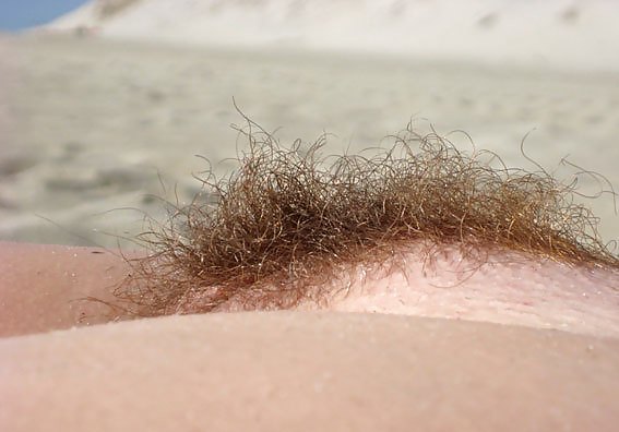 Hairy Amatures #3652612