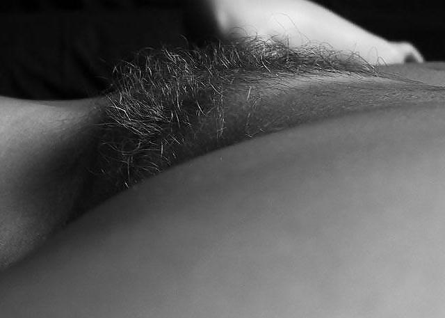 Hairy Amatures #3652646