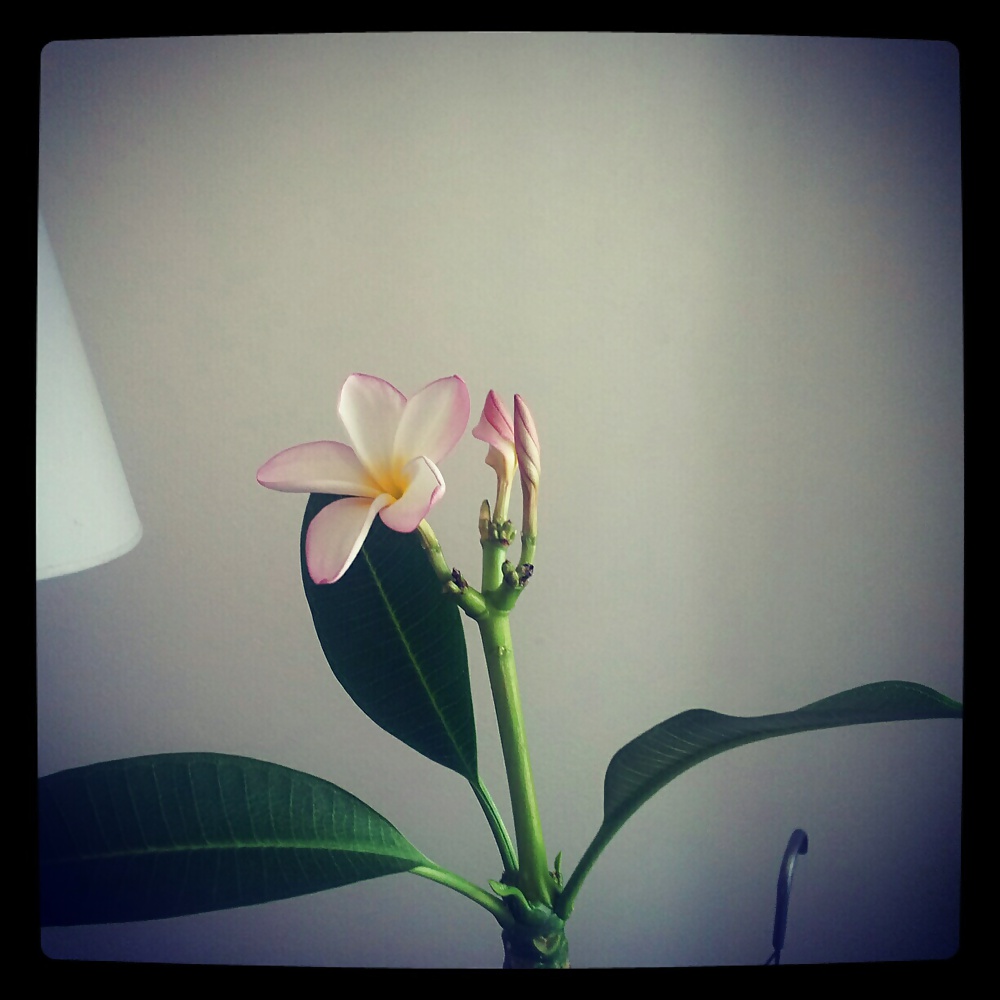 Barryhot22
 #9167045