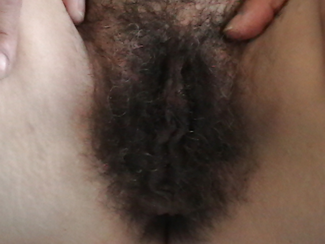 More Hairy Latin Lady #8979521