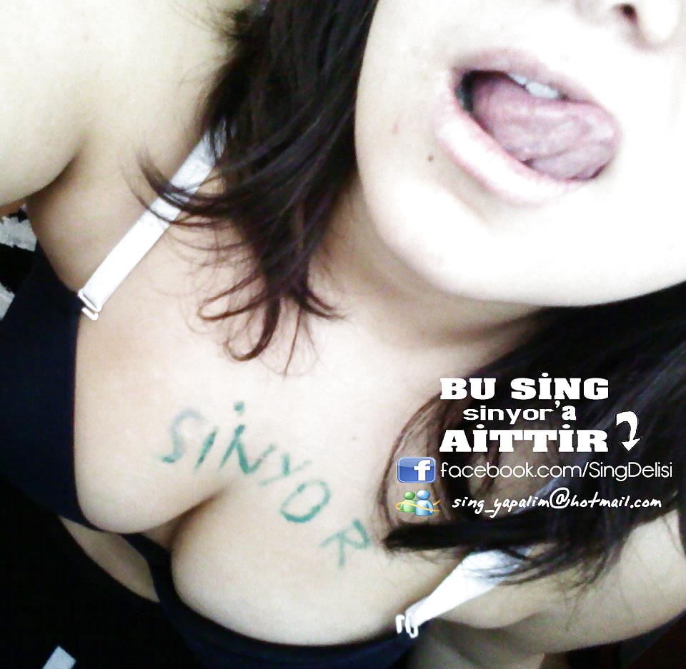 Turk signal #9588252