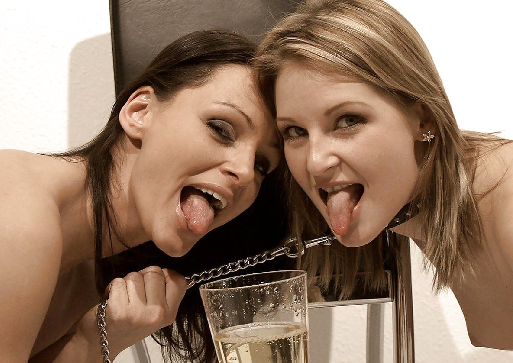 Champagne #3629826