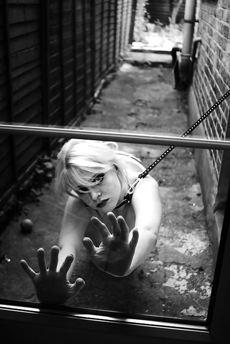 白と黒の797!
 #20641944