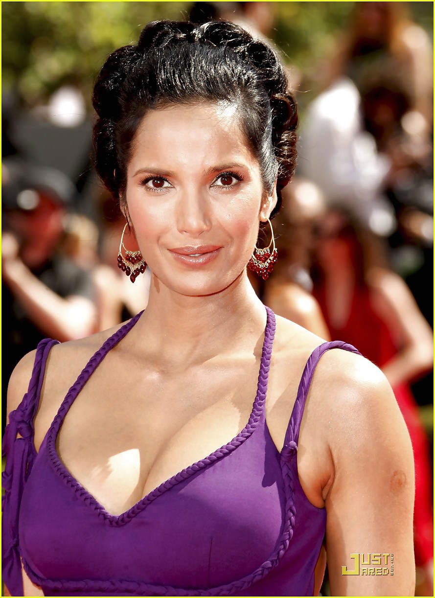 Padma lakshmi
 #4872819