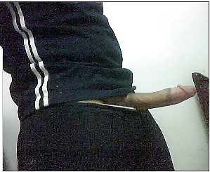 SExi?? #4514003