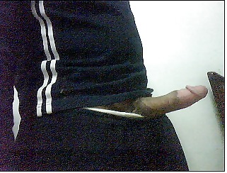 SExi?? #4514005
