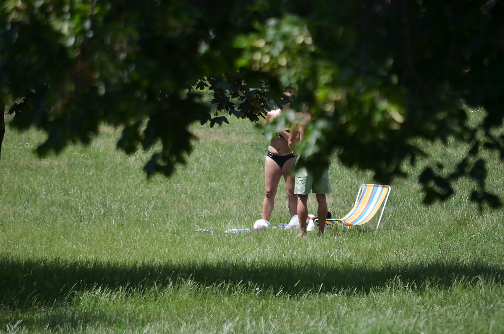 Girl sunbathing in the park I #11339304