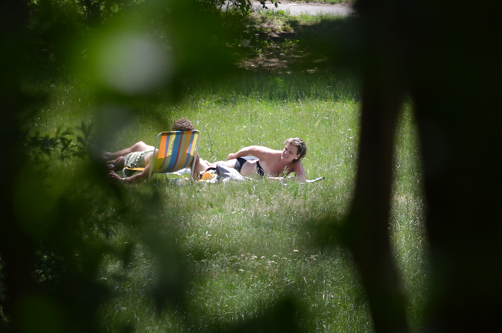 Girl sunbathing in the park I #11339340