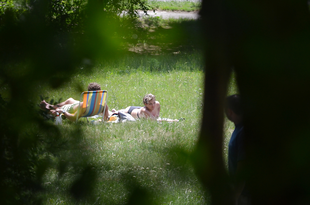 Girl sunbathing in the park I #11339380