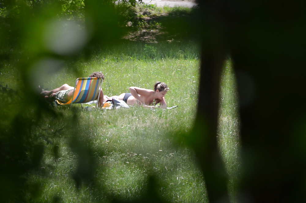 Girl sunbathing in the park I #11339416