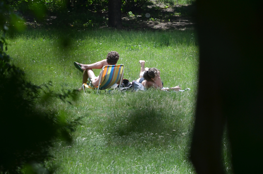 Girl sunbathing in the park I #11339493