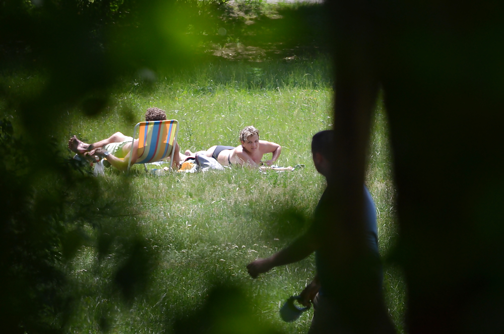 Chica tomando el sol en el parque i
 #11339501