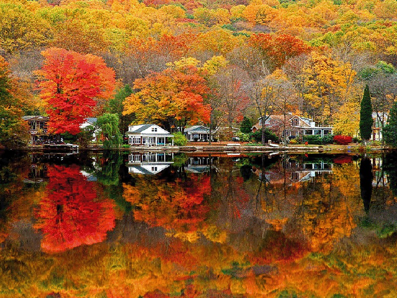 Mirror in the water.