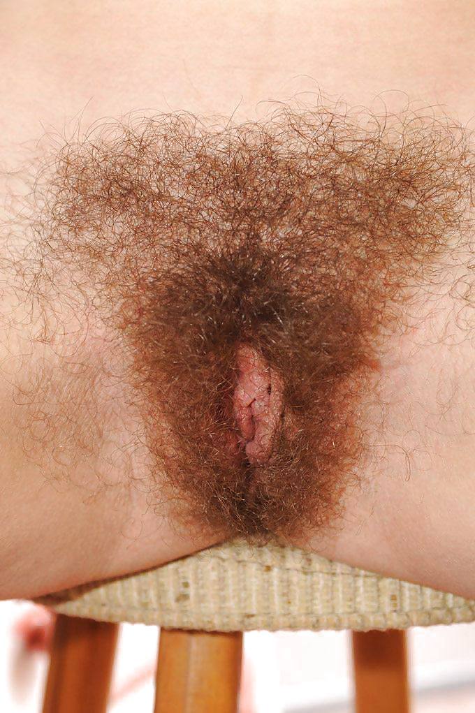Hairy Bush in your Face 3 #4454855