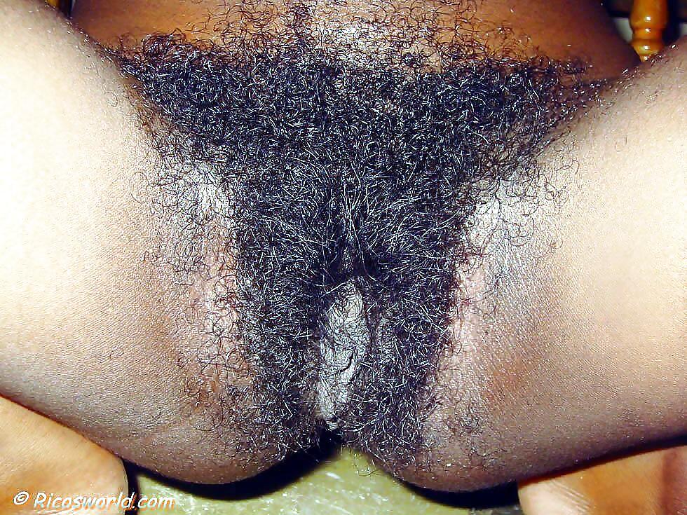 Georgous delectable hairy yocati
 #9863352