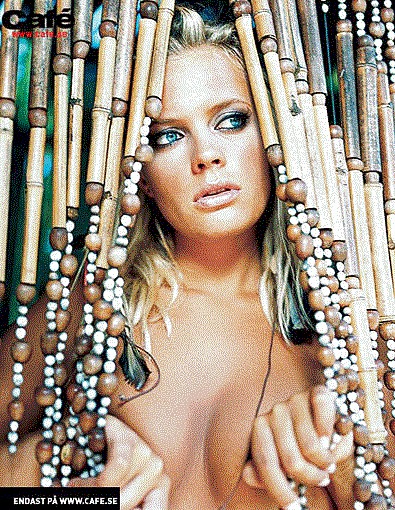 スウェーデンのメディア売春婦
 #16689852