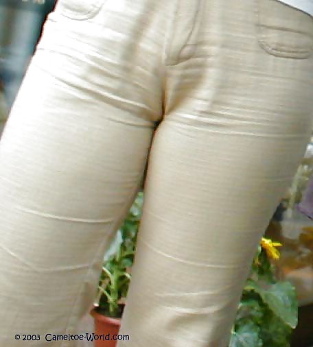 Cameltoes caldo
 #15693973