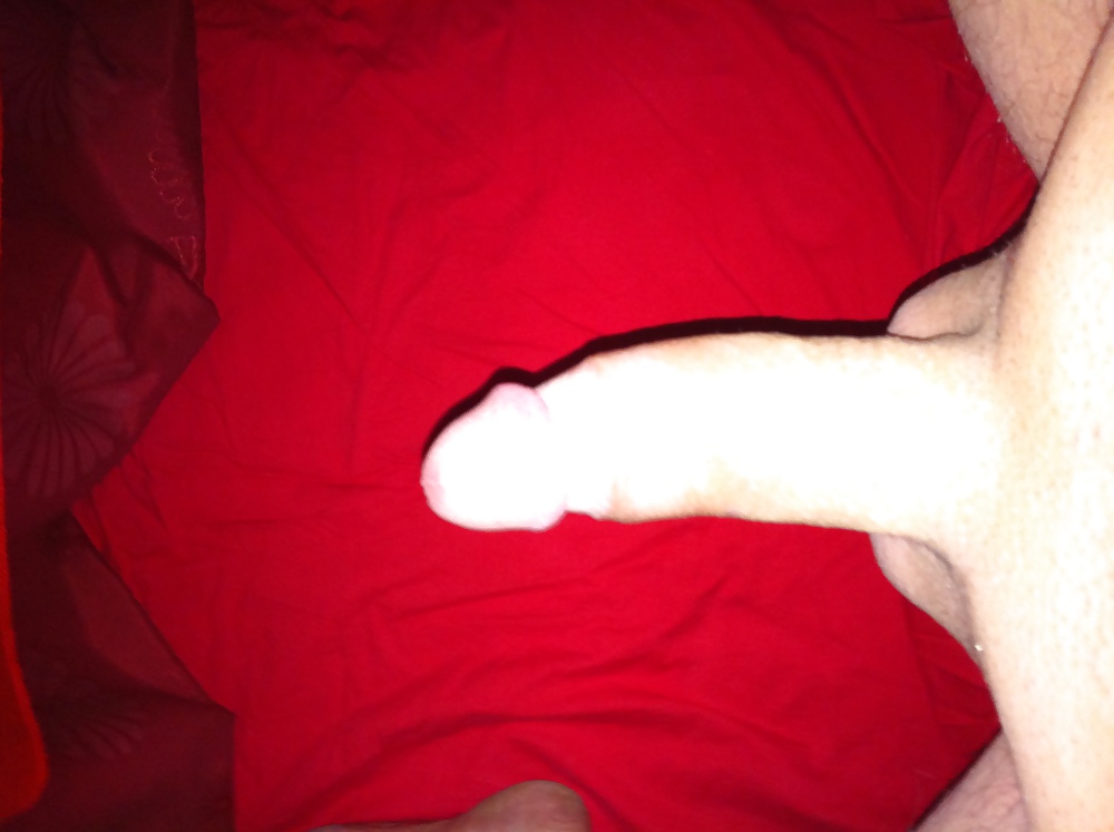 Cock #12186345