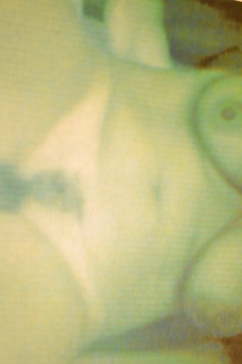 写真を見る
 #15928988