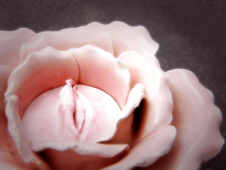 Gender Art 1 - Vulva (1) #14462415