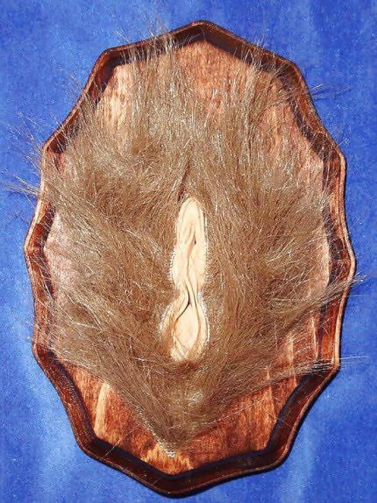 Arte de género 1 - vulva (1)
 #14462458