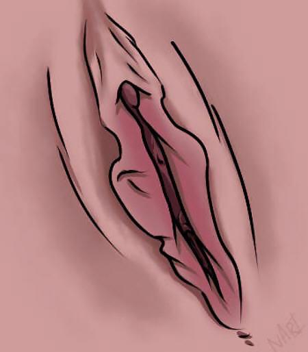 Arte de género 1 - vulva (1)
 #14462493