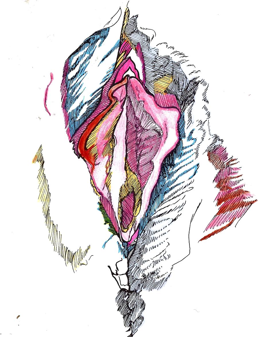Gender Art 1 - Vulva (1) #14462534