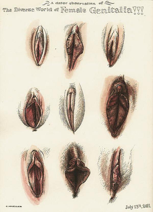 Gender Art 1 - Vulva (1) #14462553