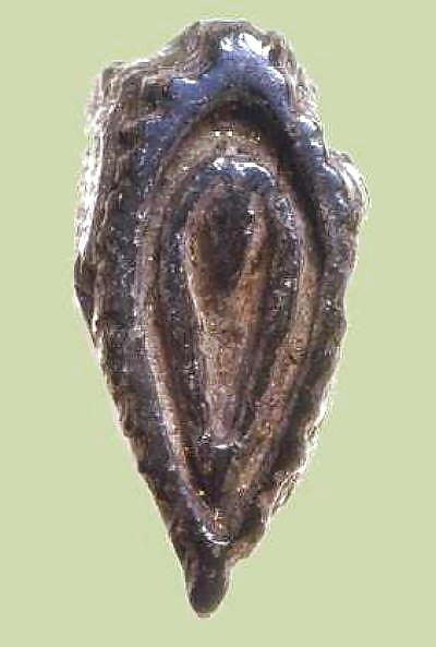 Gender Art 1 - Vulva (1) #14462671