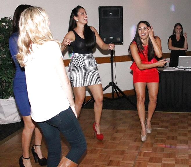 Brie and Nikki, the Bella Twins - WWE Diva mega collection #7111786
