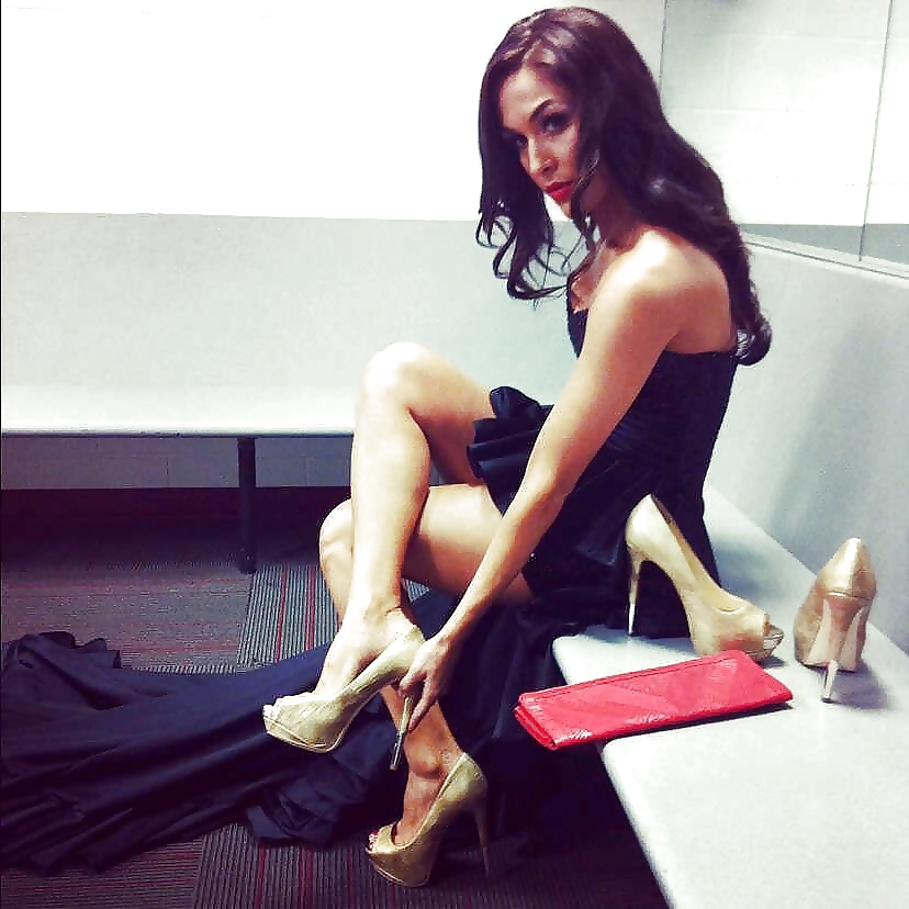 Brie and Nikki, the Bella Twins - WWE Diva mega collection #7111815