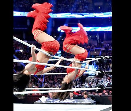 Brie Und Nikki, Die Bella Twins - Wwe Diva Mega Collection #7111920