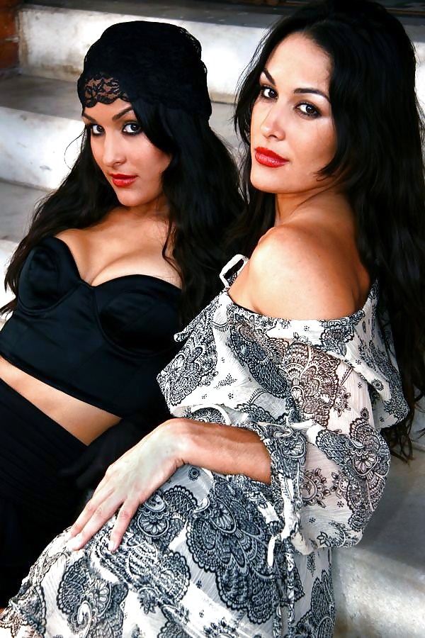 Brie and Nikki, the Bella Twins - WWE Diva mega collection #7111939