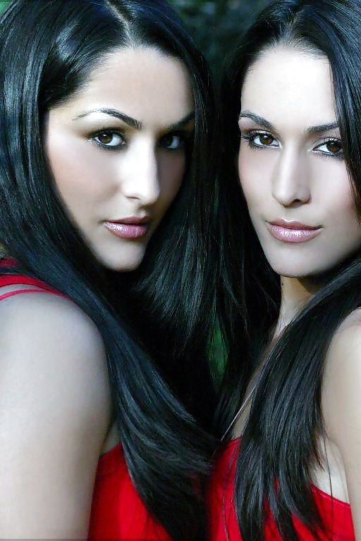 Brie Und Nikki, Die Bella Twins - Wwe Diva Mega Collection #7111982