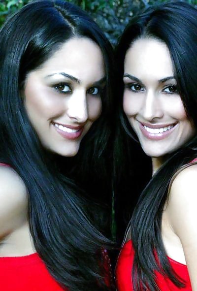 Brie Et Nikki, Les Jumeaux Bella - Diva Wwe Mega Collection #7112000
