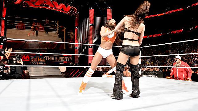Brie and Nikki, the Bella Twins - WWE Diva mega collection #7112124