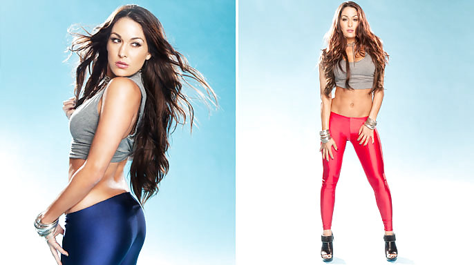 Brie Et Nikki, Les Jumeaux Bella - Diva Wwe Mega Collection #7112358