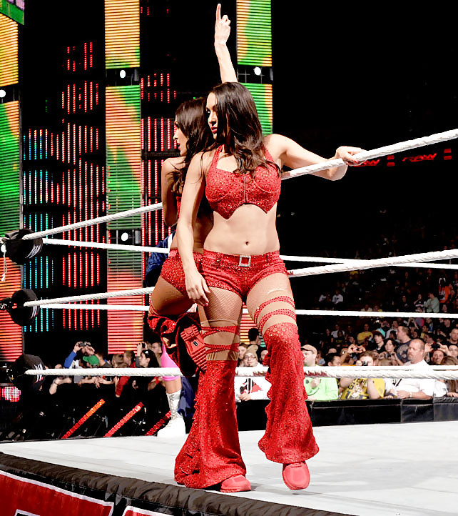 Brie y nikki, las gemelas bella - wwe diva mega collection
 #7112622