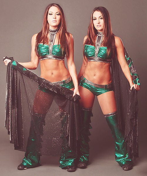 Brie Et Nikki, Les Jumeaux Bella - Diva Wwe Mega Collection #7112902