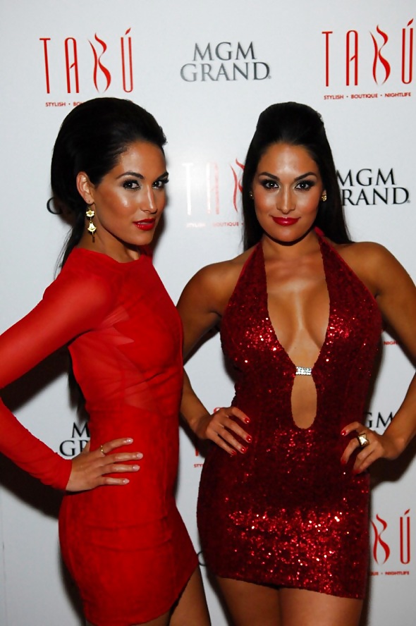 Brie e nikki, le gemelle bella - wwe diva mega collezione
 #7112965