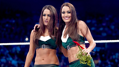 Brie and Nikki, the Bella Twins - WWE Diva mega collection #7112995