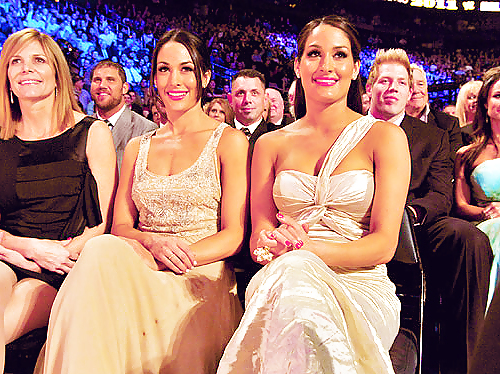 Brie y nikki, las gemelas bella - wwe diva mega collection
 #7113187