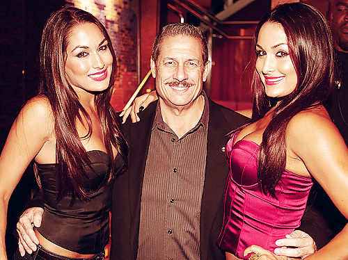 Brie and Nikki, the Bella Twins - WWE Diva mega collection #7113198