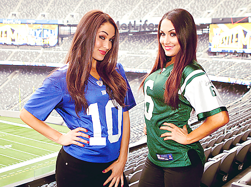 Brie and Nikki, the Bella Twins - WWE Diva mega collection #7113209