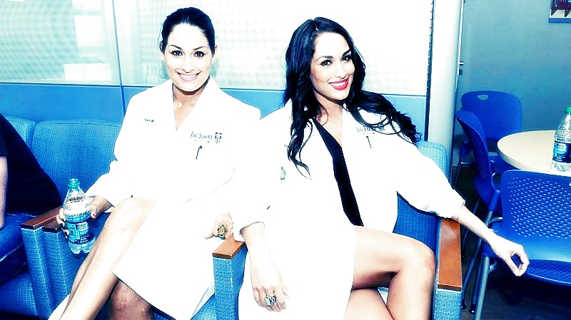 Brie and Nikki, the Bella Twins - WWE Diva mega collection #7113229