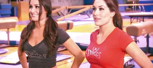 Brie and Nikki, the Bella Twins - WWE Diva mega collection #7113331
