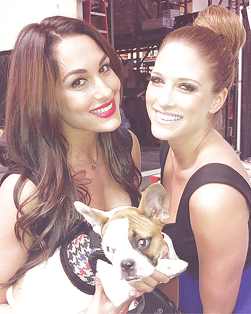 Brie Et Nikki, Les Jumeaux Bella - Diva Wwe Mega Collection #7113387